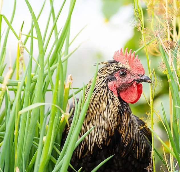 Capture d’écran 2026-03-13 103004