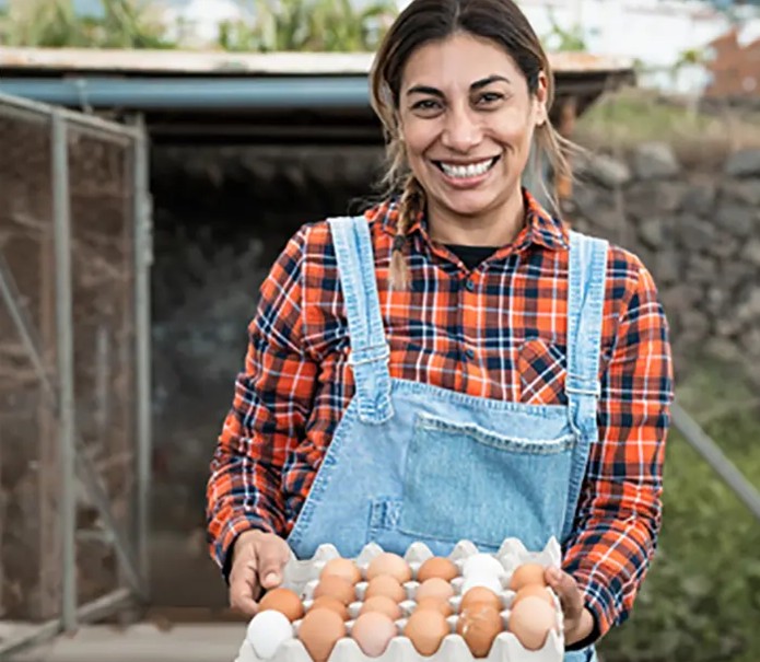 Capture d’écran 2026-03-13 103233