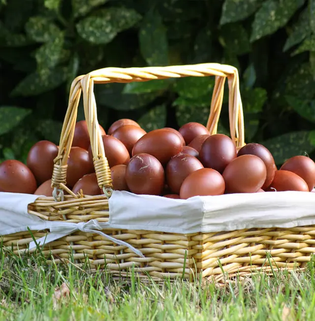 formules_wheremoney_800815nw