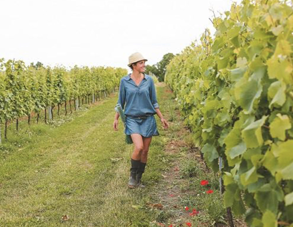 1E683A55-62A7-4973-9F90-D84C93CED84E