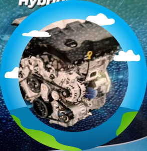 20260317133828-p2-document-hzhn