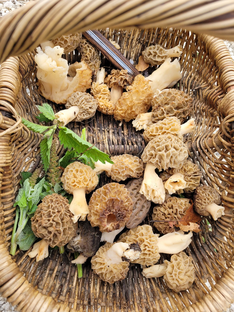 491414375_9872710702785829_4147348110187616548_n