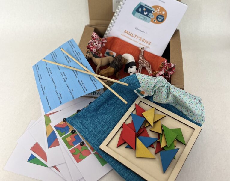 kit-MultiSens-2-e1734510228113-768x604