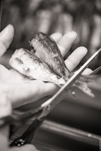 perledieux-11102019-sb-194