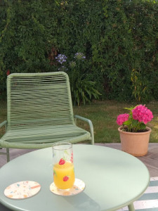 dessous-verre-jus-jardin-600