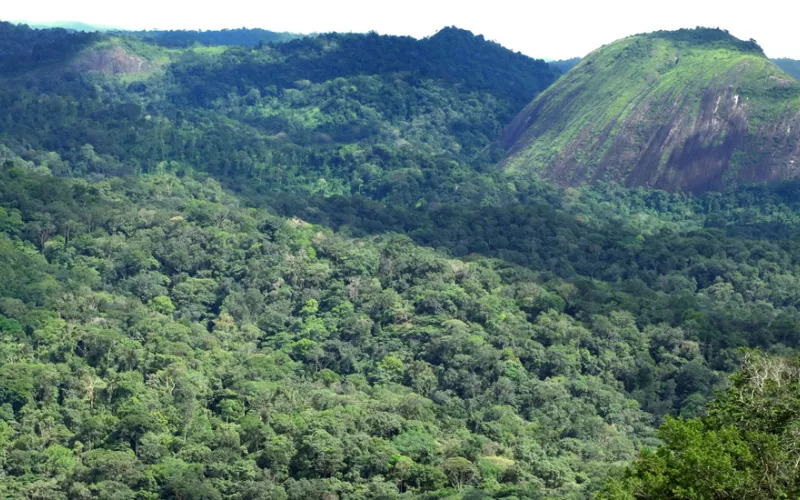 guyane_olivier_pascal_1440_550.jpg